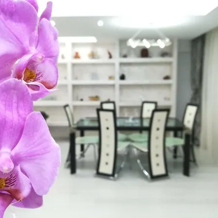 Paradise Apartament * Brasov